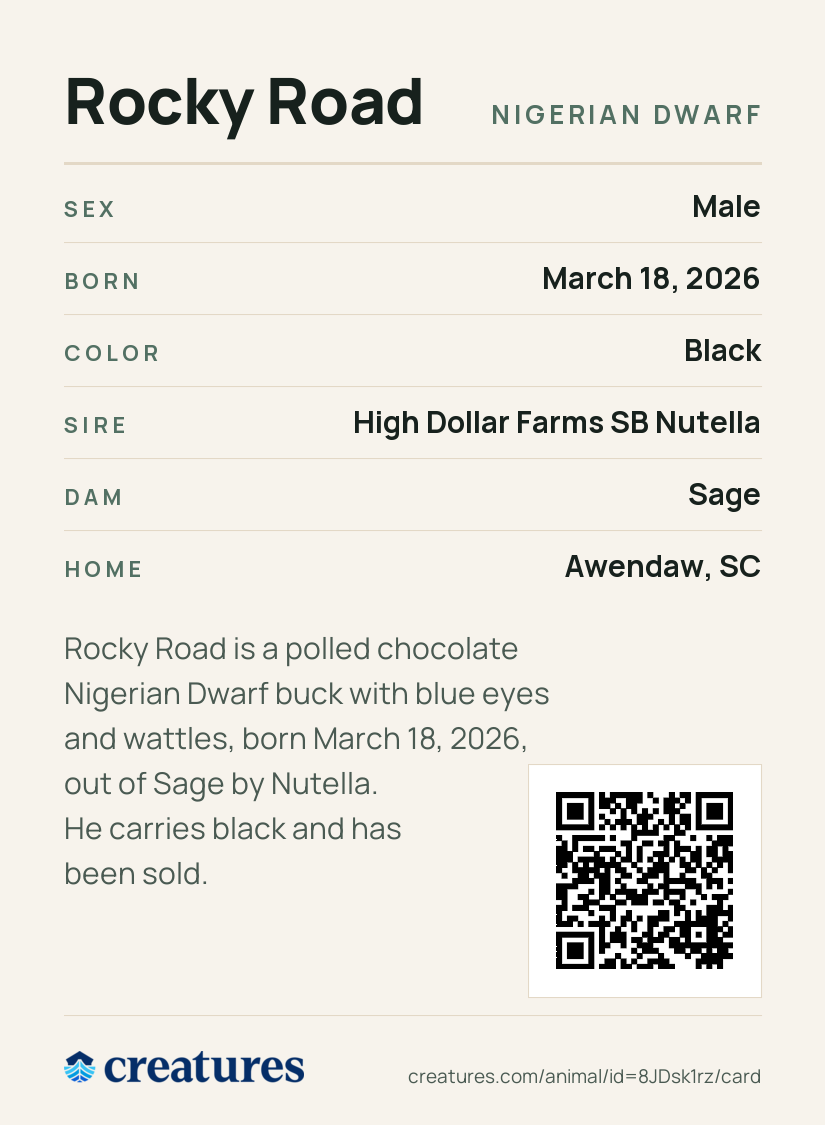 Rocky Road Creature Card back