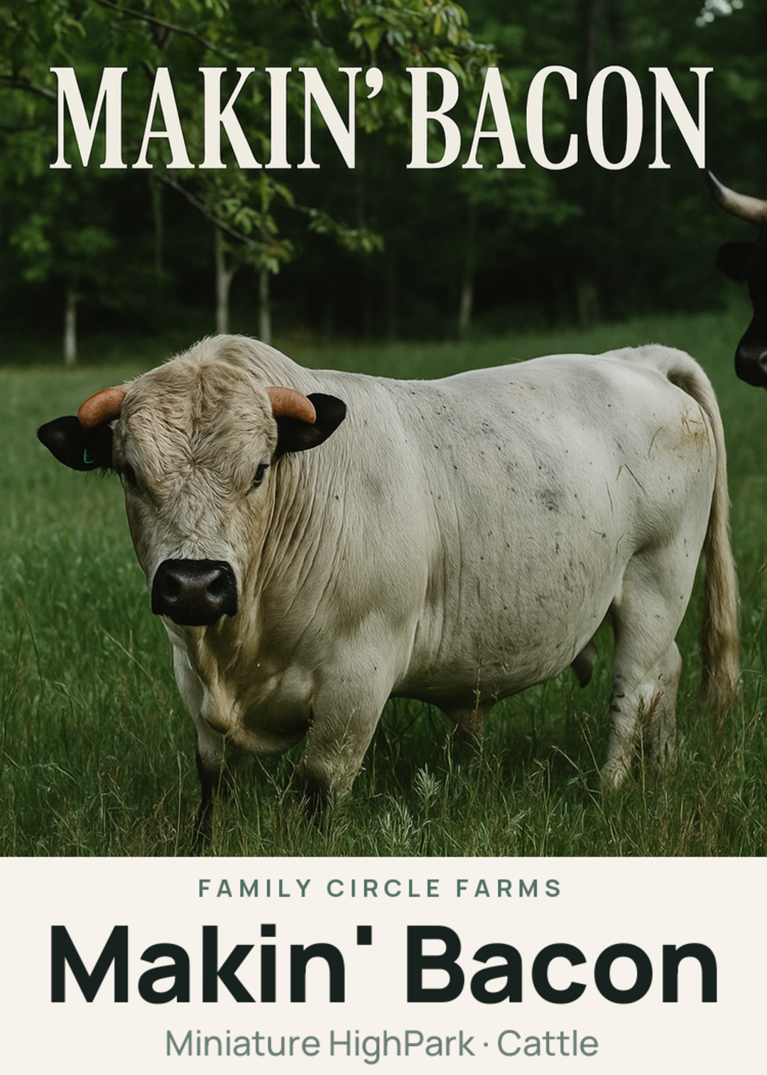 Makin' Bacon Creature Card