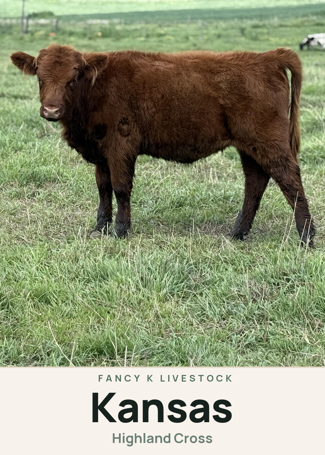 Kansas Creature Card