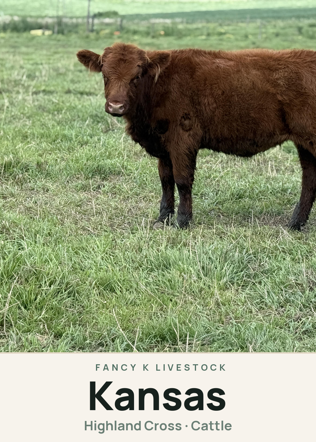 Kansas Creature Card