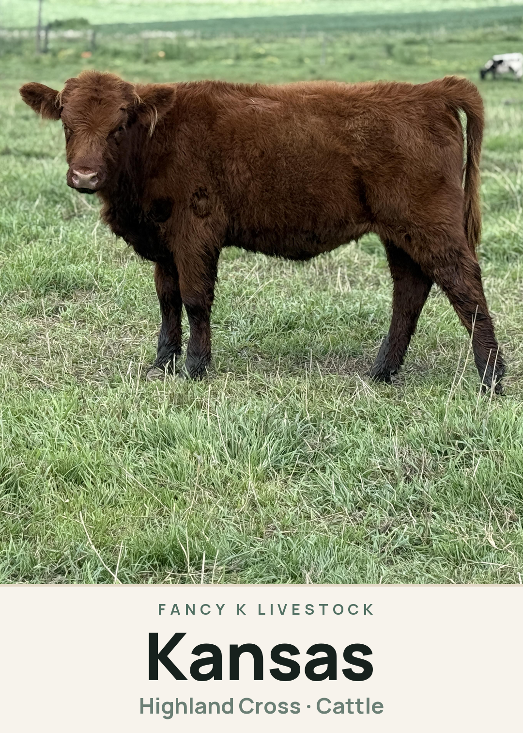 Kansas Creature Card