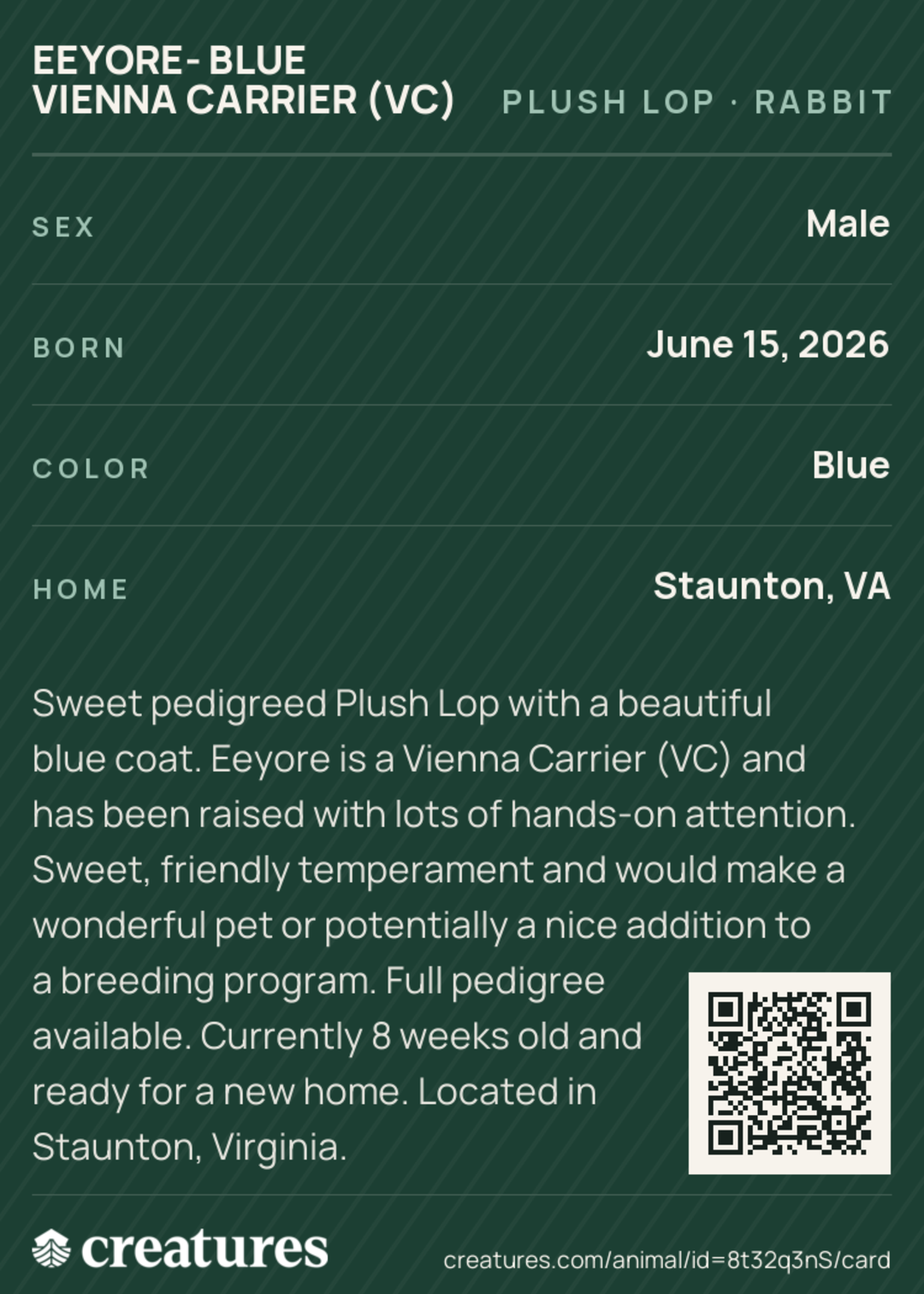 Eeyore- Blue Vienna Carrier (VC) Creature Card back