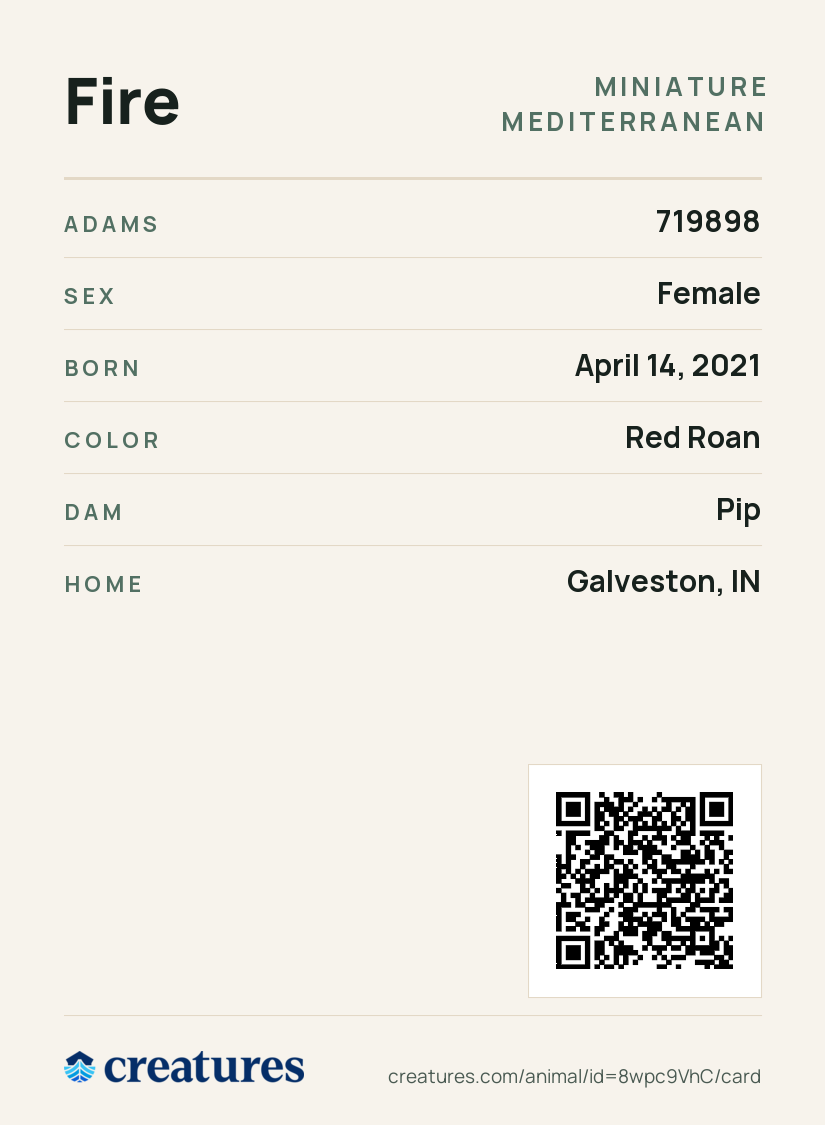 Fire Creature Card back