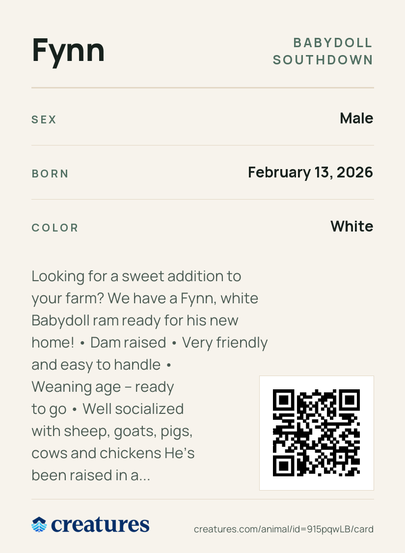 Fynn Creature Card back