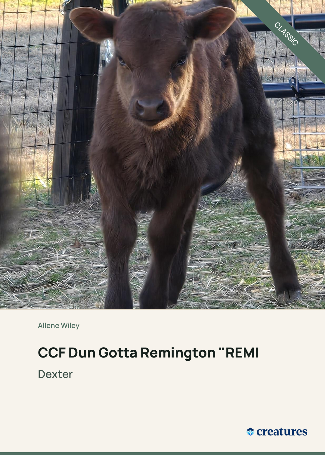 CCF Dun Gotta Remington "REMI" Creature Card