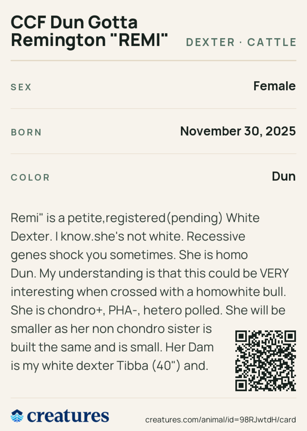 CCF Dun Gotta Remington "REMI" Creature Card back