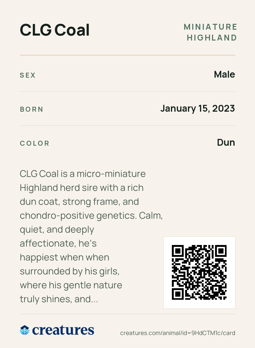 CLG Coal Creature Card back