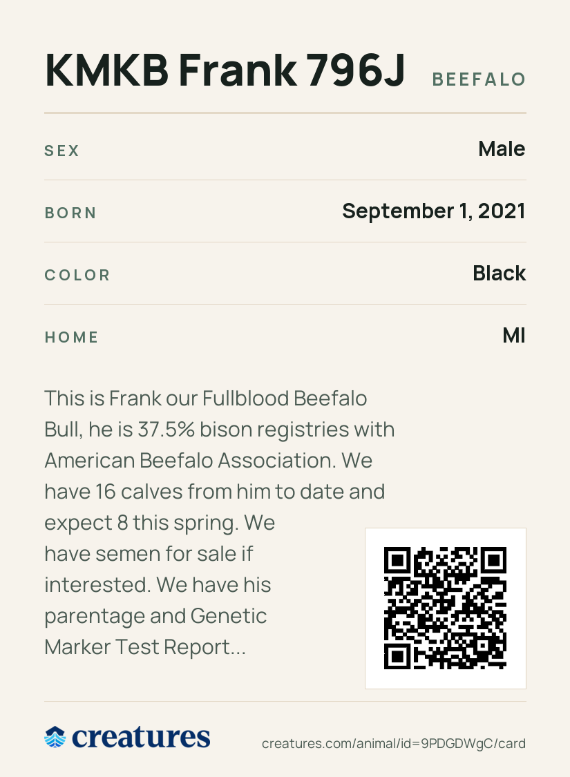 KMKB Frank 796J Creature Card back
