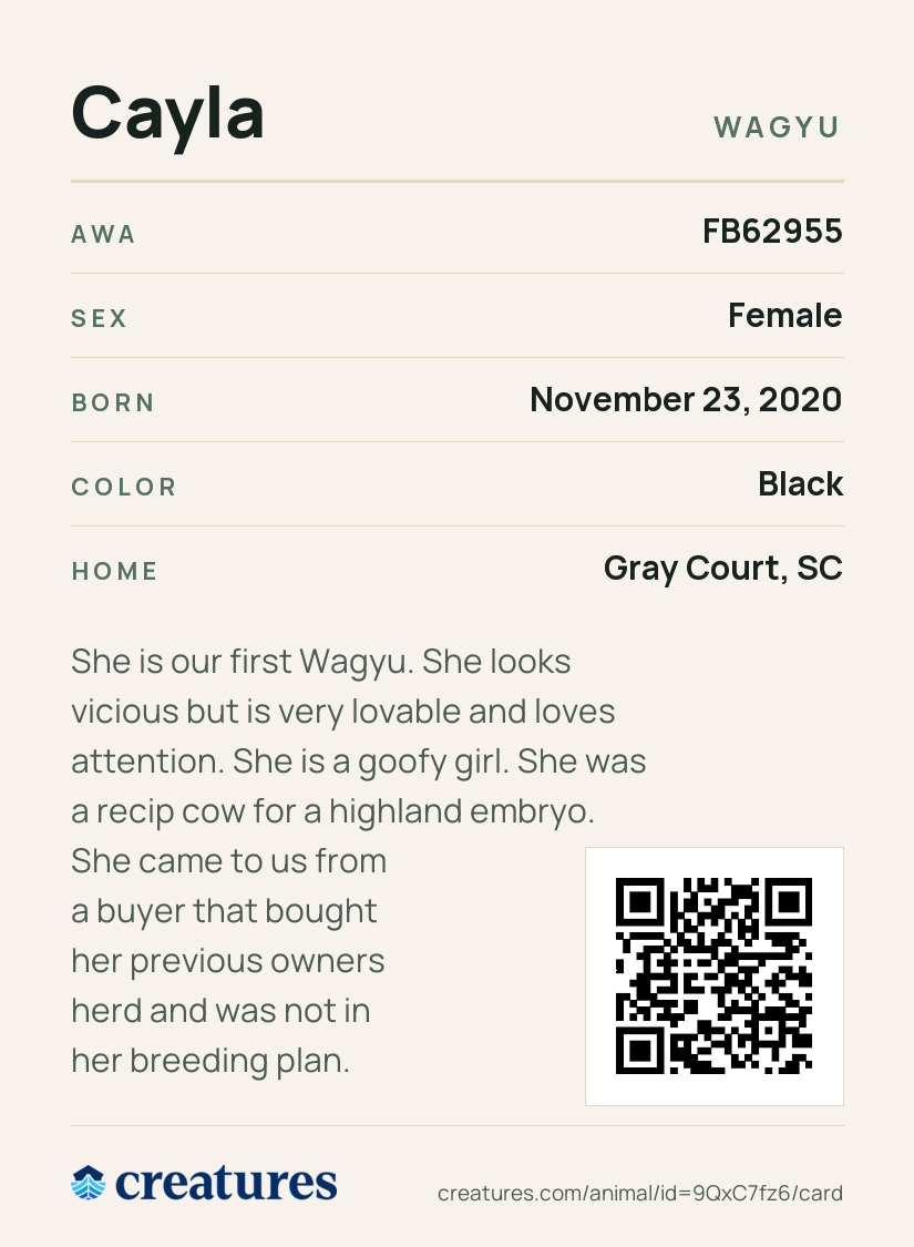 Cayla Creature Card back
