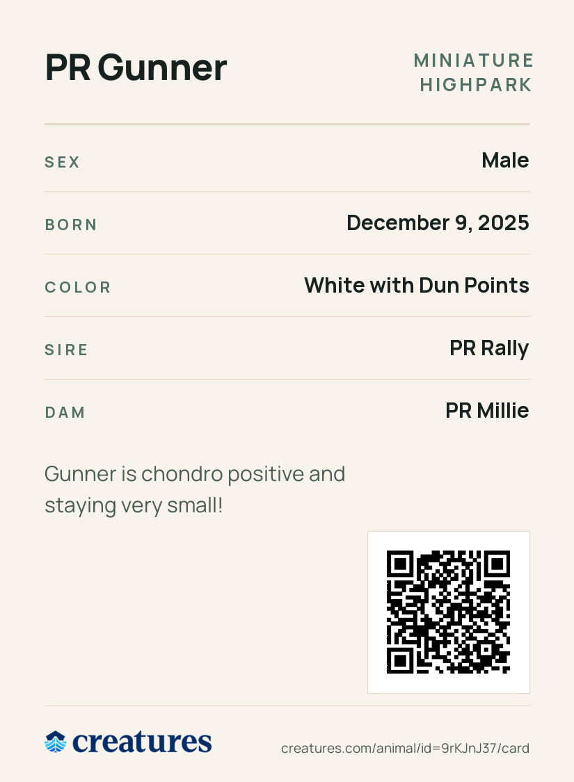 PR Gunner Creature Card back