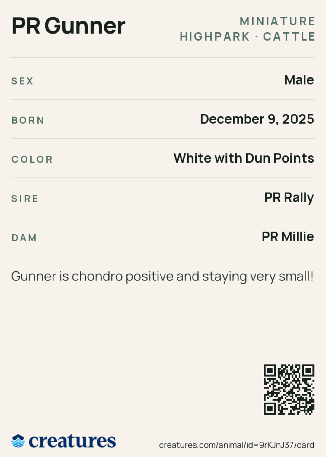PR Gunner Creature Card back