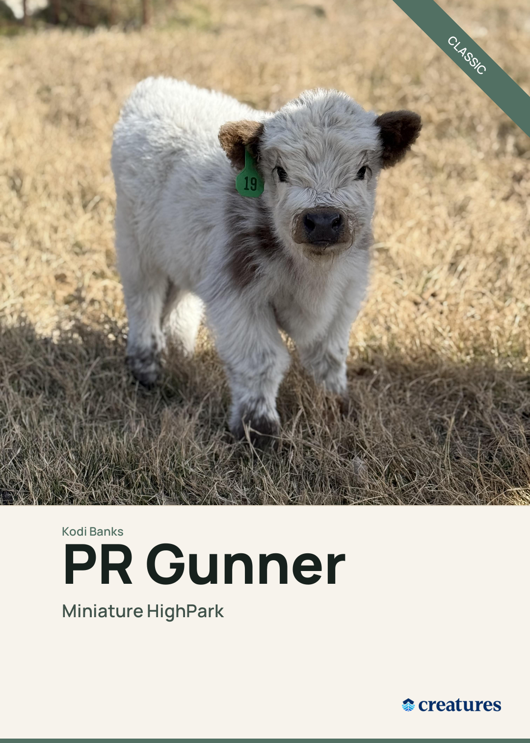 PR Gunner Creature Card