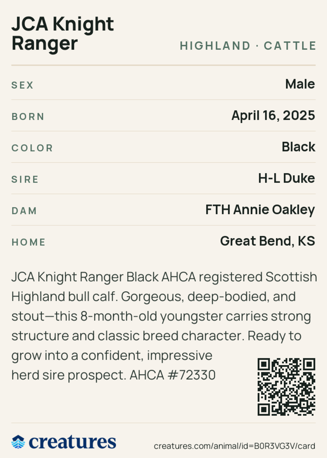 JCA Knight Ranger Creature Card back