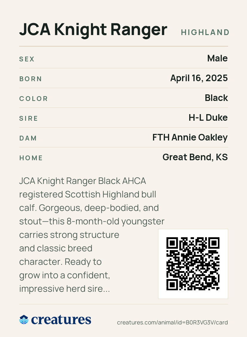 JCA Knight Ranger Creature Card back