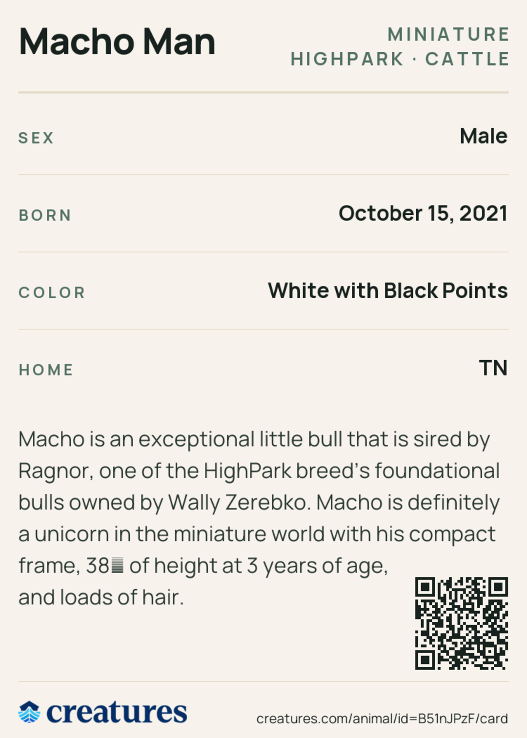 Macho Man Creature Card back