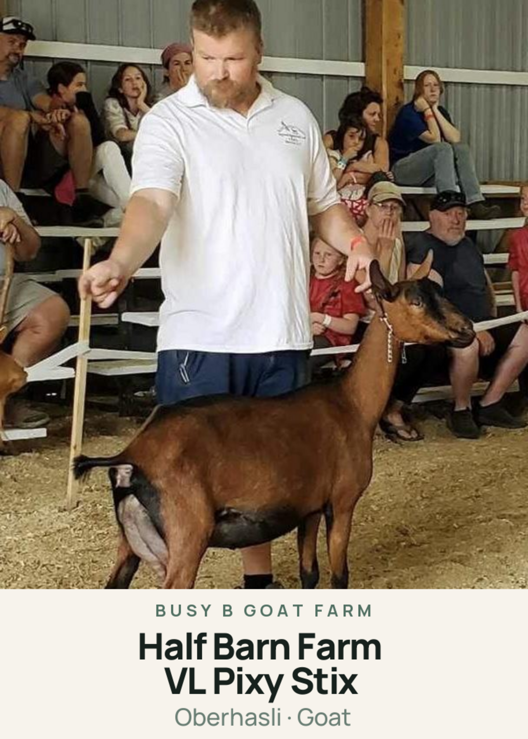 Half Barn Farm VL Pixy Stix Creature Card