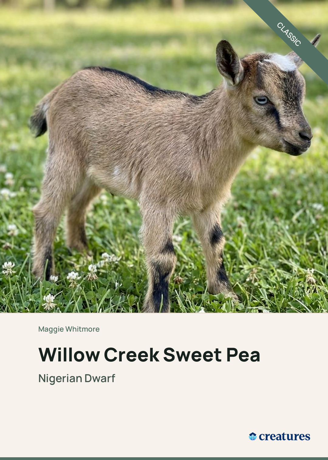 Willow Creek Sweet Pea Creature Card