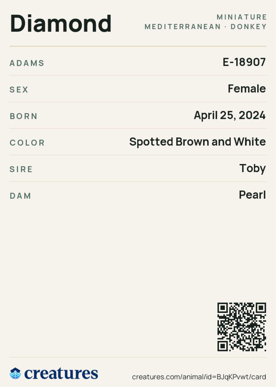 Diamond Creature Card back