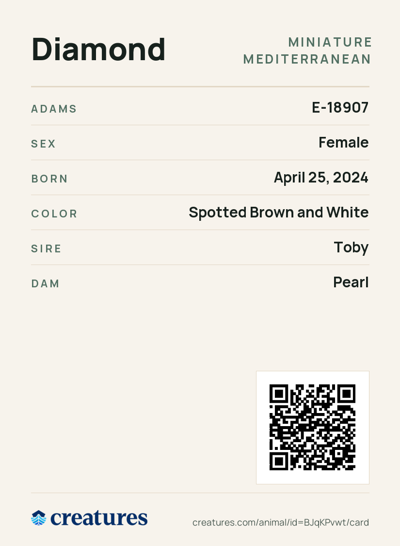 Diamond Creature Card back