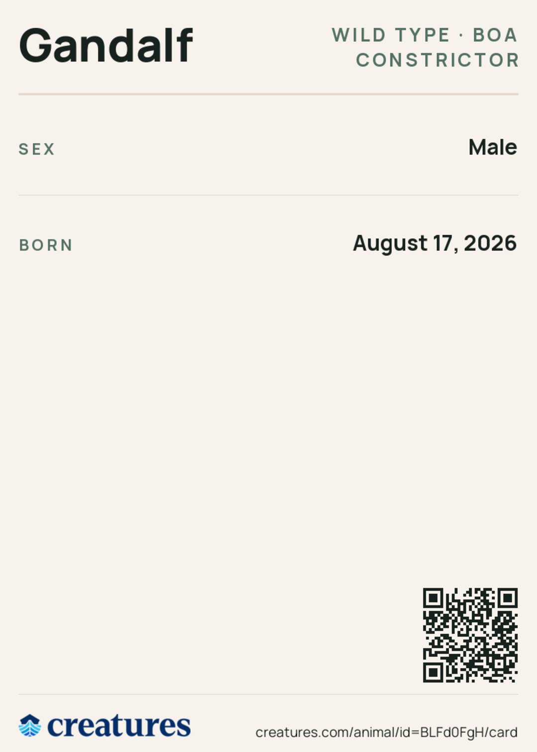 Gandalf Creature Card back