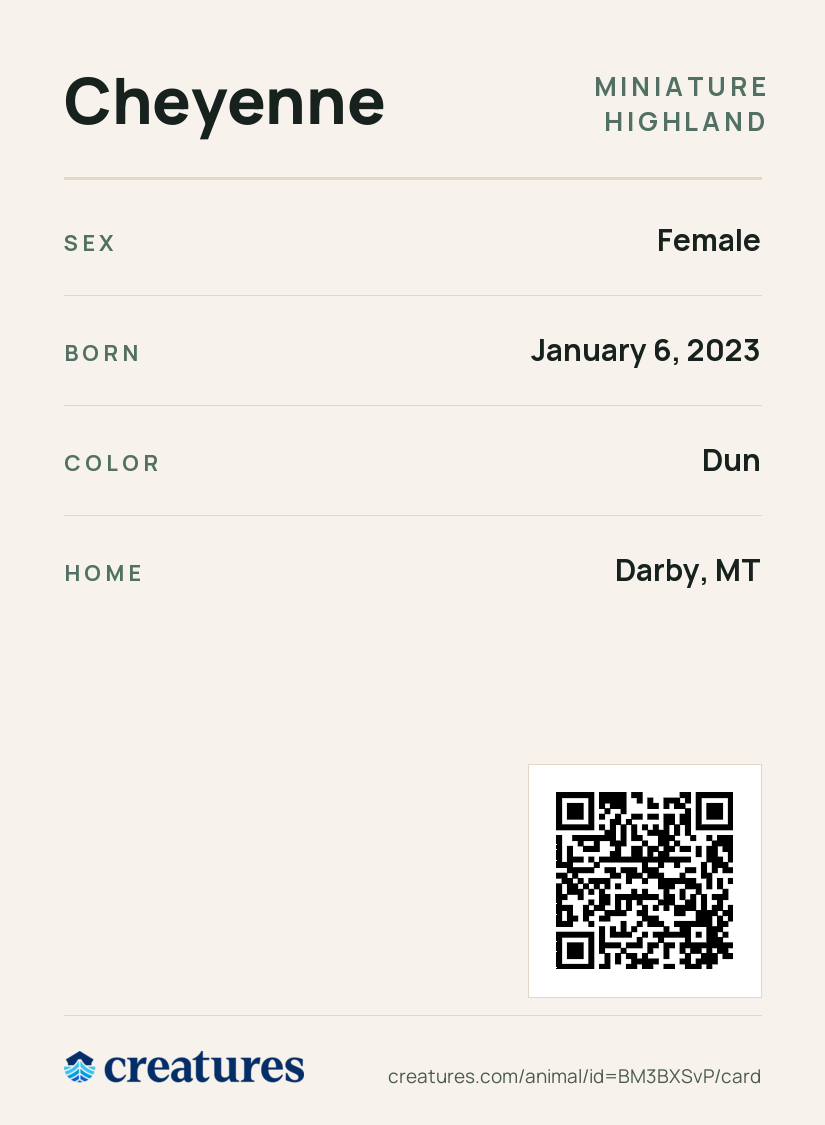 Cheyenne Creature Card back