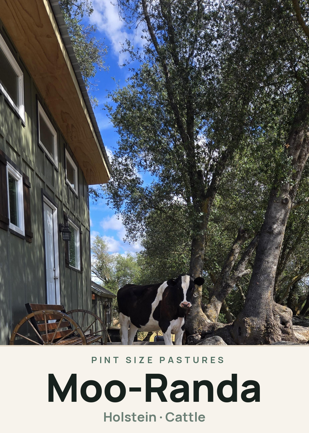 Moo-Randa Creature Card