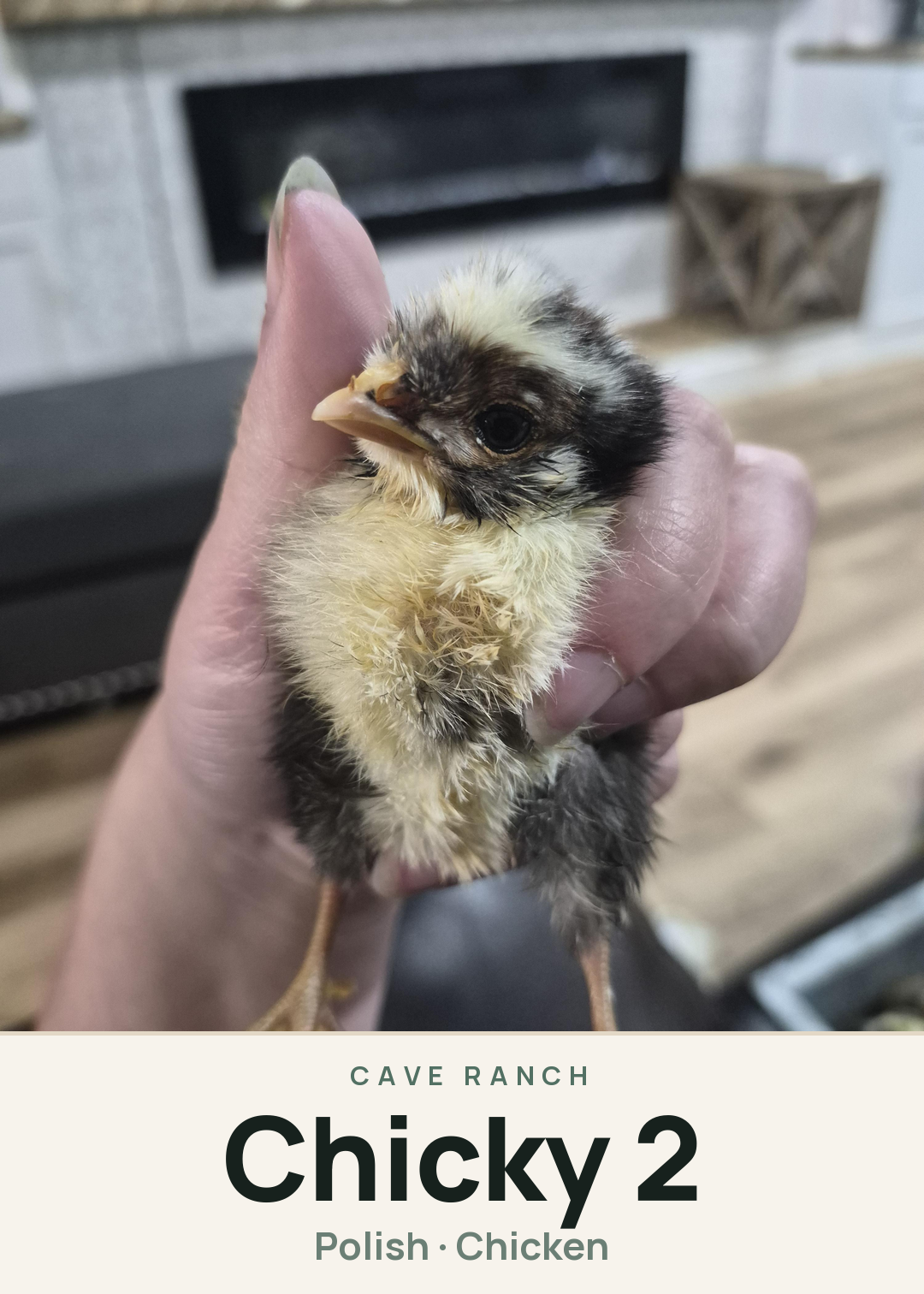 Chicky 2 Creature Card