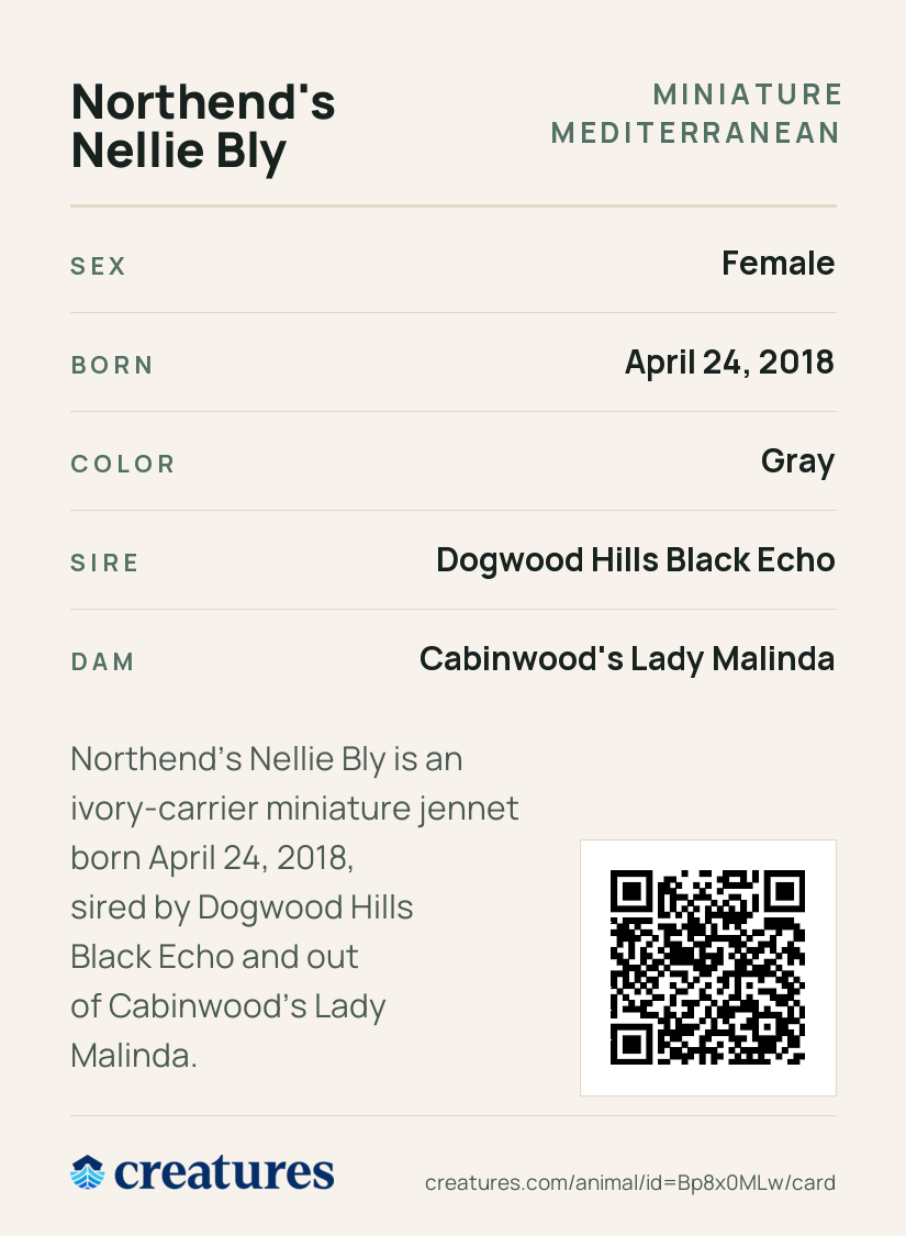 Northend's Nellie Bly Creature Card back