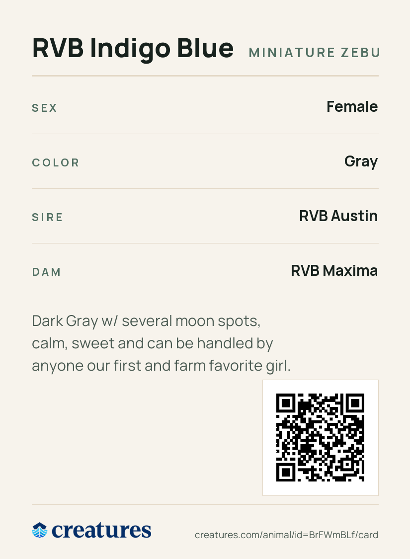 RVB Indigo Blue Creature Card back