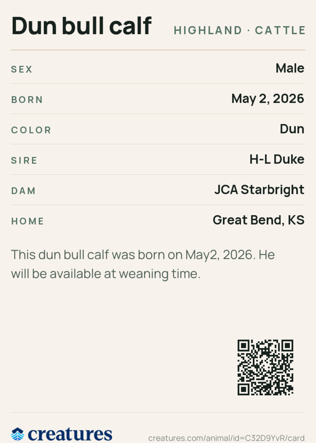 Dun bull calf Creature Card back
