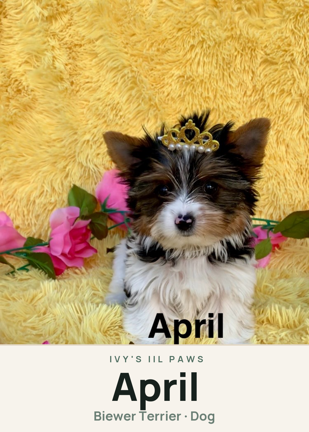April Creature Card
