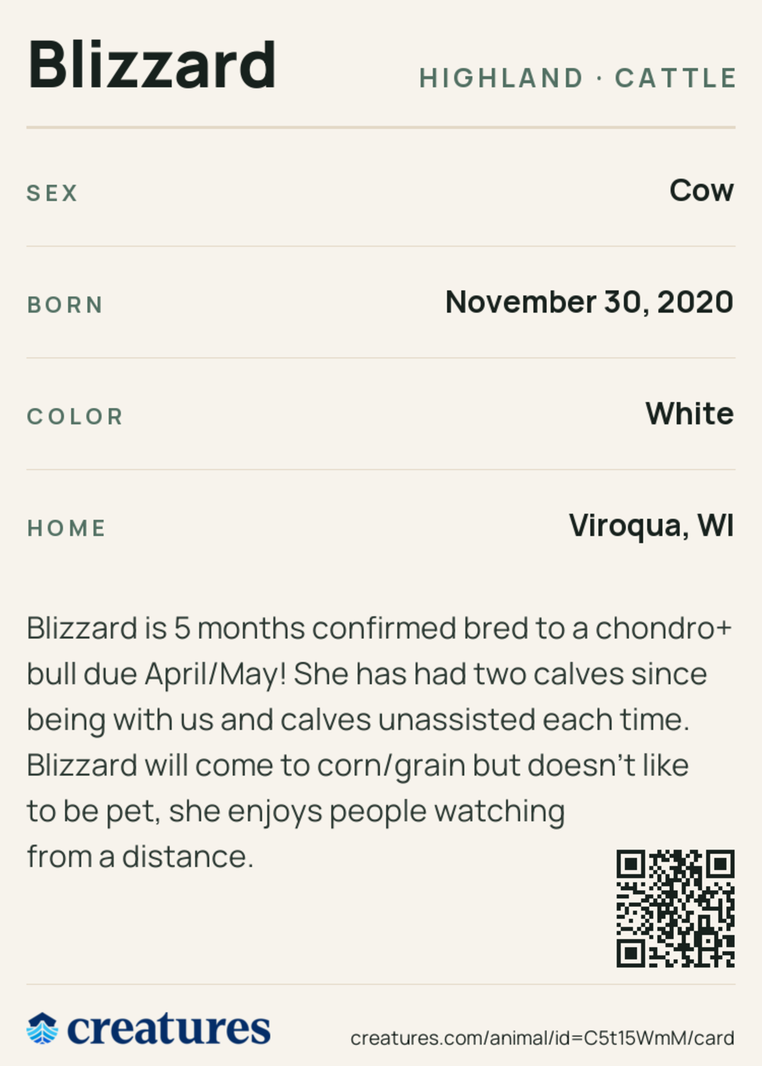 Blizzard Creature Card back