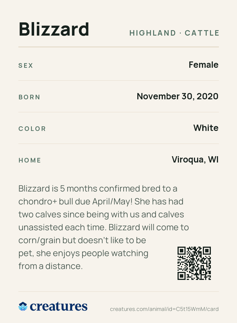 Blizzard Creature Card back