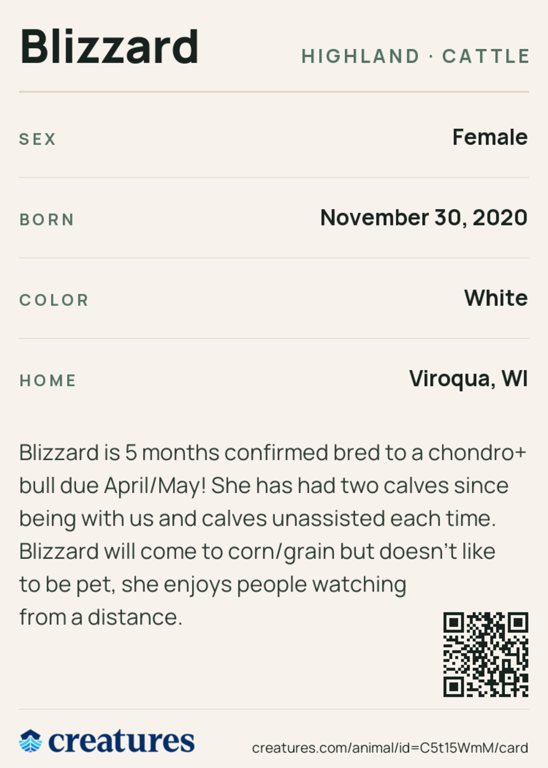 Blizzard Creature Card back