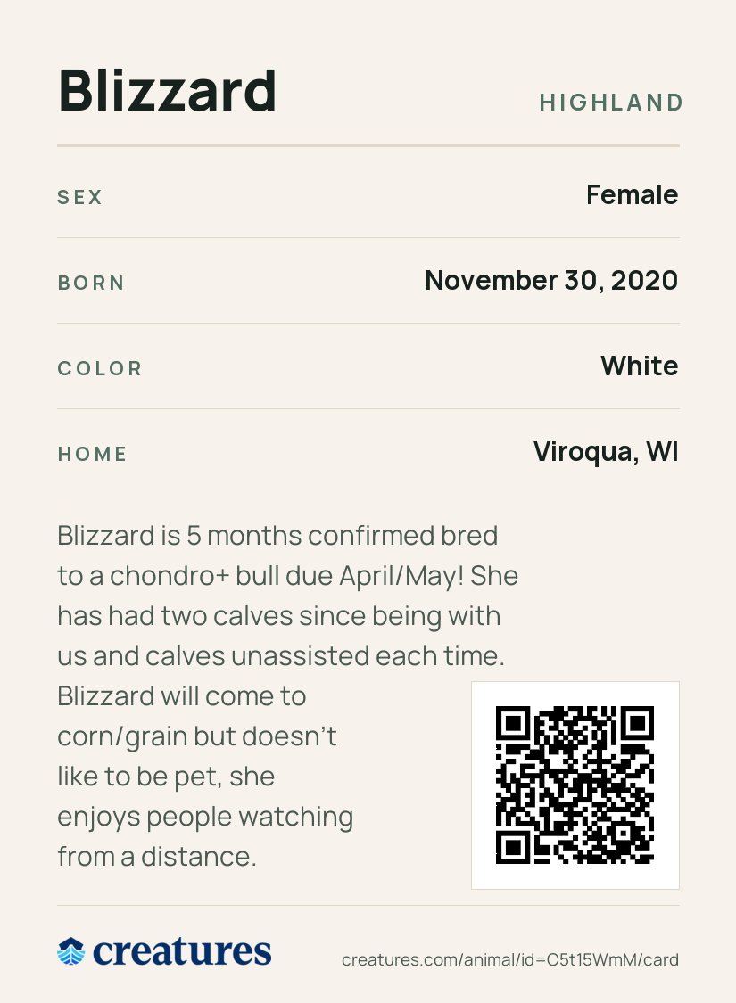 Blizzard Creature Card back