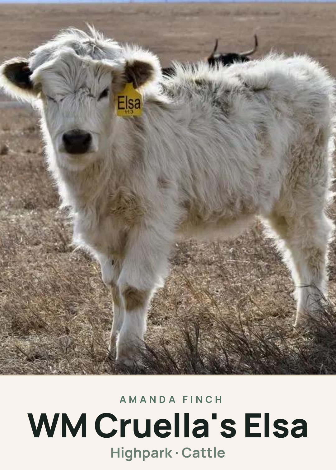 WM Cruella's Elsa Creature Card