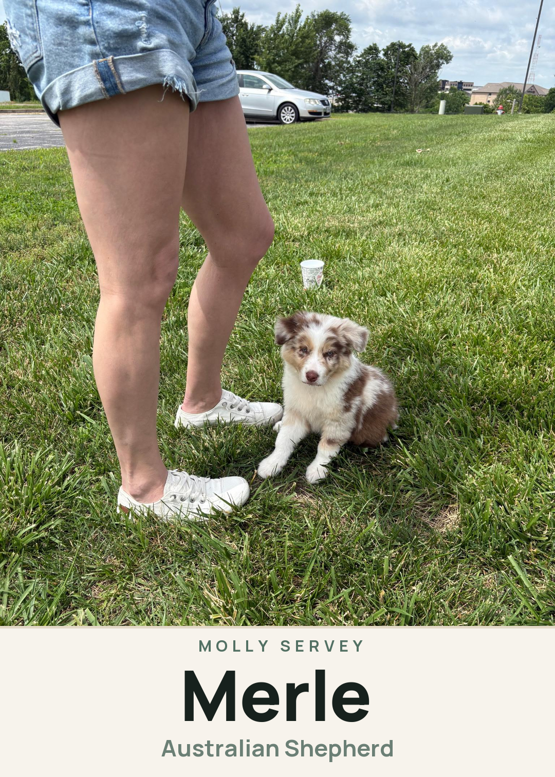 Merle Creature Card