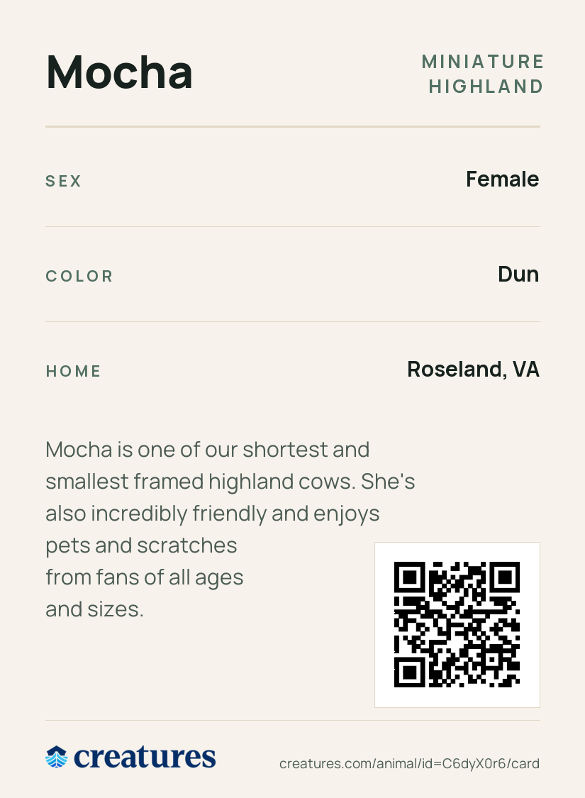 Mocha Creature Card back