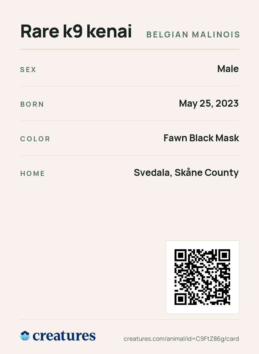 Rare k9 kenai Creature Card back