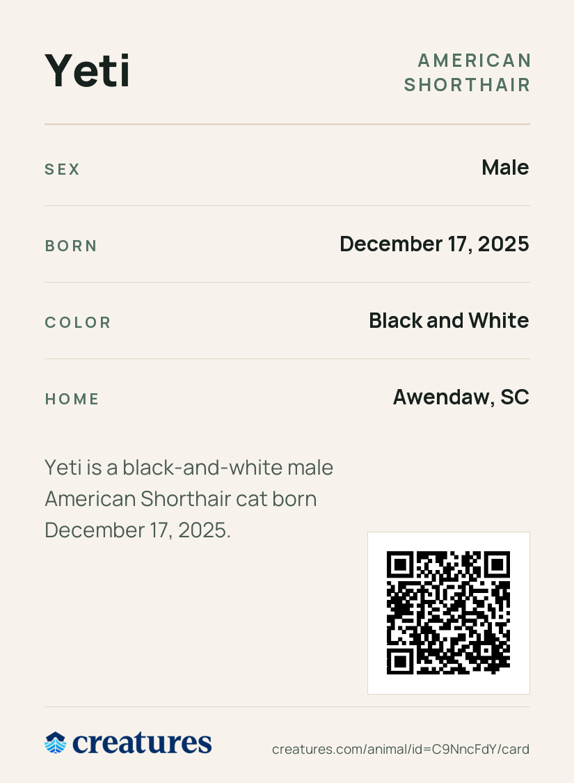 Yeti Creature Card back