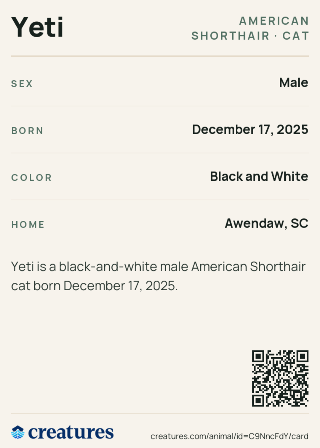 Yeti Creature Card back