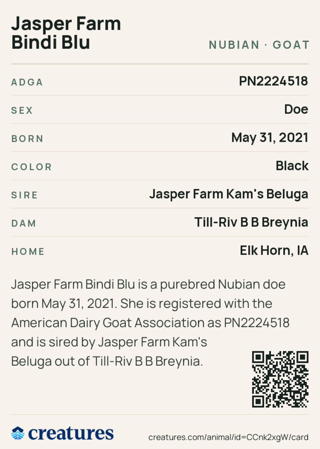 Jasper Farm Bindi Blu Creature Card back