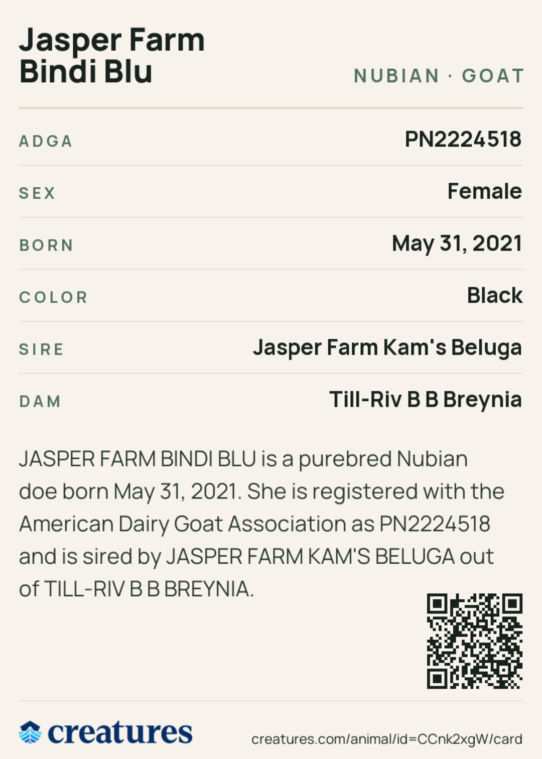 Jasper Farm Bindi Blu Creature Card back