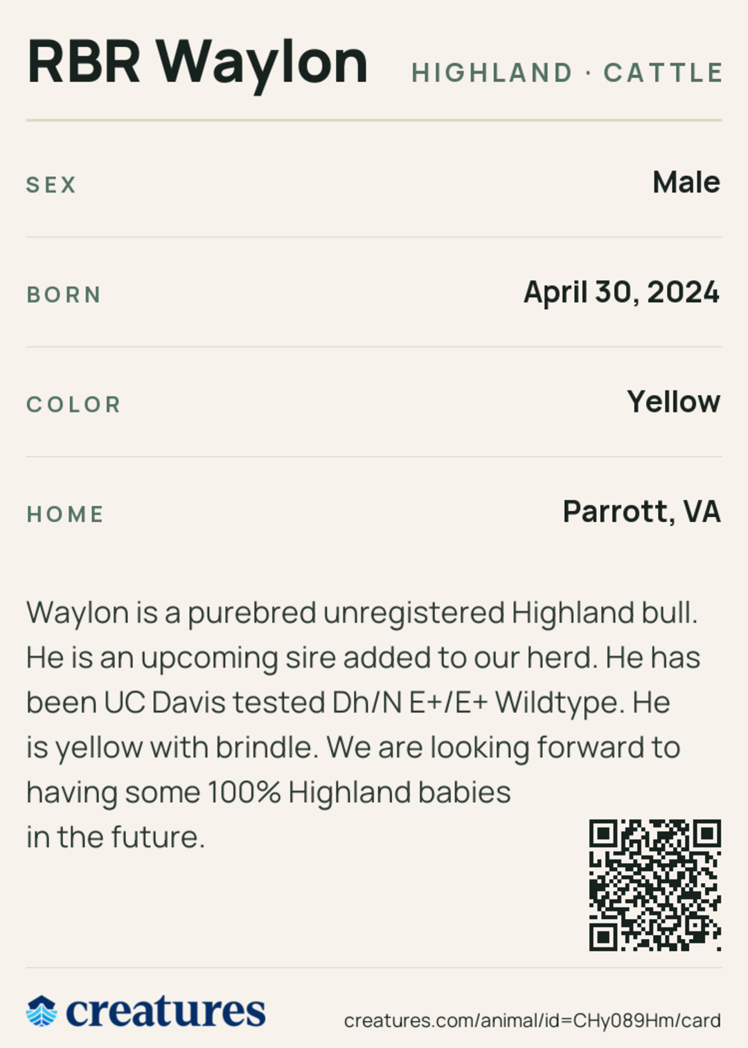 RBR Waylon Creature Card back