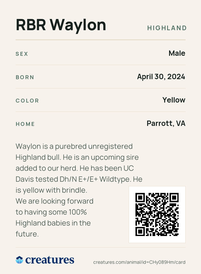 RBR Waylon Creature Card back