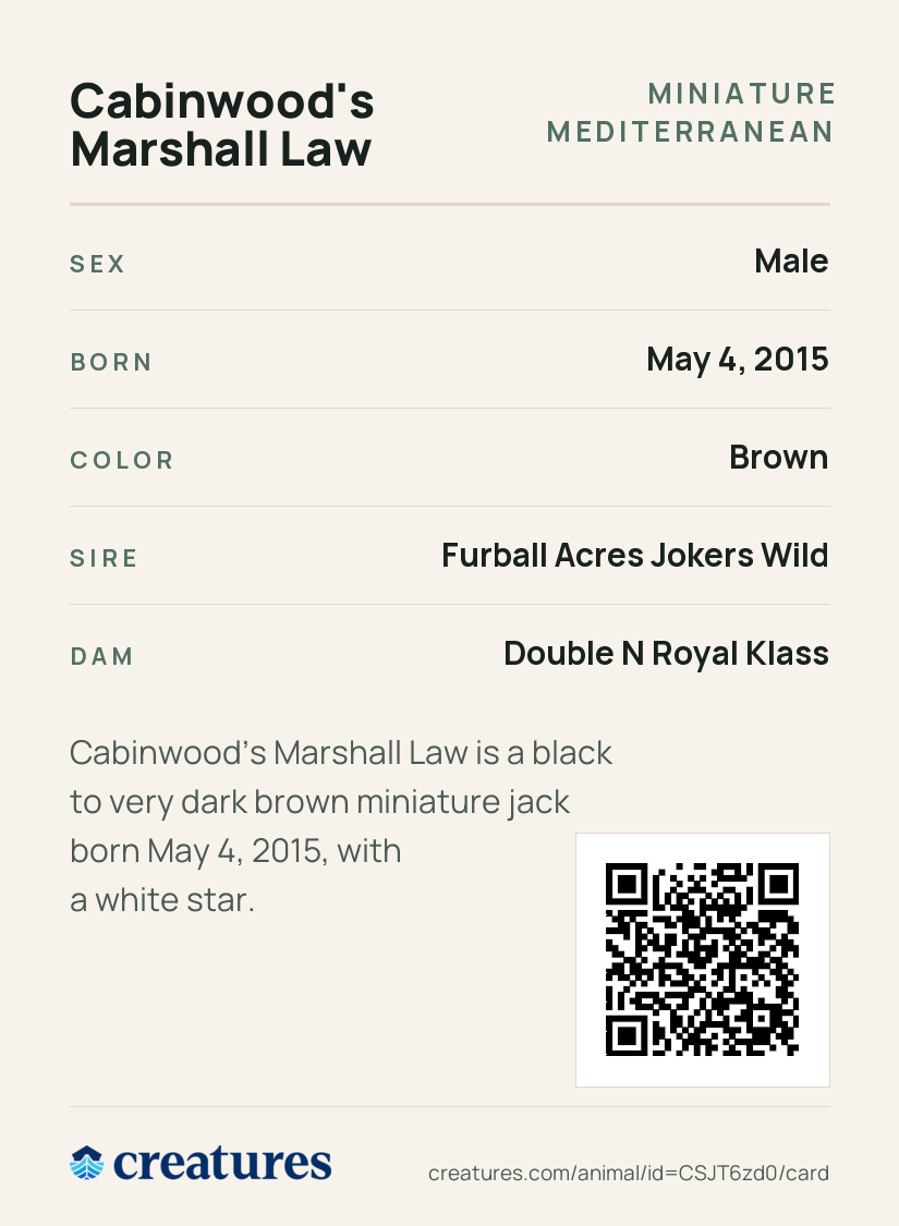 Cabinwood's Marshall Law Creature Card back