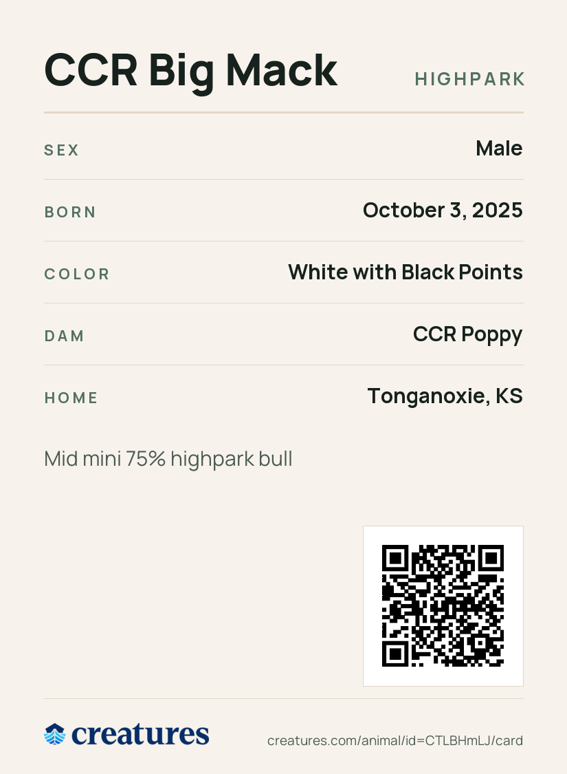 CCR Big Mack Creature Card back