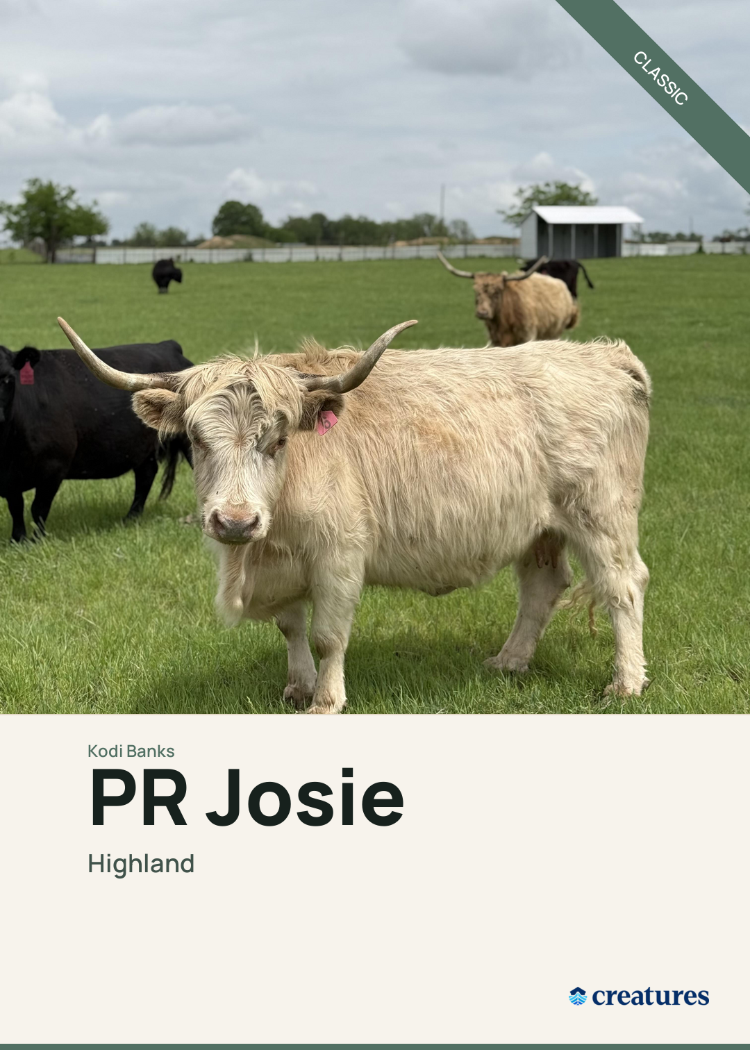 PR Josie Creature Card