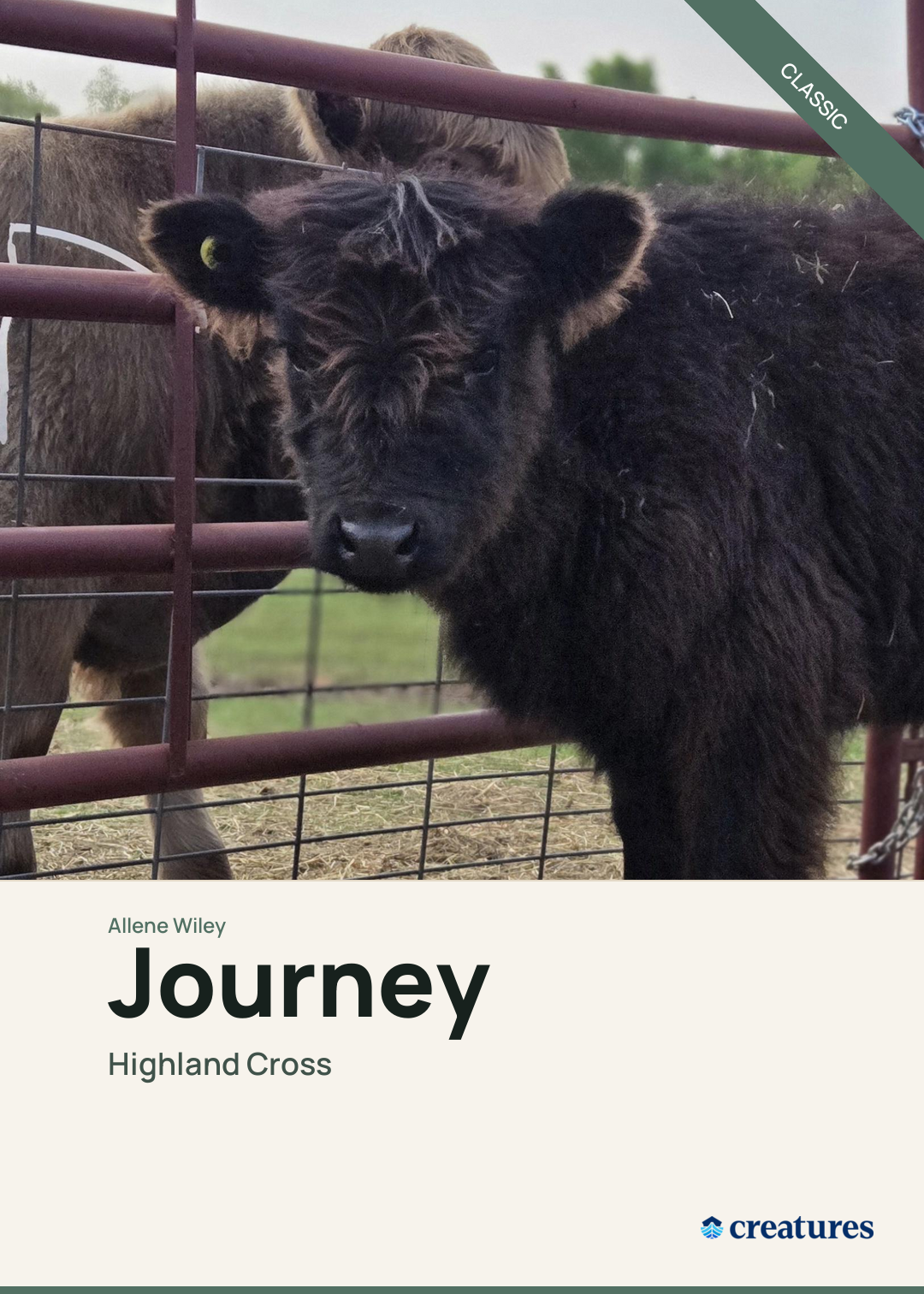 Journey Creature Card
