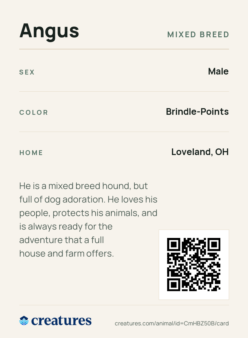 Angus Creature Card back